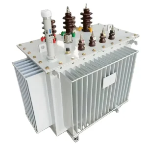 Fully Sealed Oil Immersed Distribution Transformer IEC 60076 Standard Anti-Oil Leakage City Grid Voltage Transformer Direct