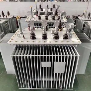 Hermetically Sealed Oil Immersed Distribution Transformer 100kVA 11kV Three Phase 50/60Hz 440V for Industrial Power Supply