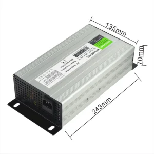 High-power Electric Motorcycle Forklift AGV Golf Cart Battery Charger With CE PSE Certifications Portable Charger