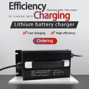 Hot Sell C1200 29.4V30A Lithium Iron Phosphate Battery Charger for Electric Energy Storage Battery Charging Station CE Certified