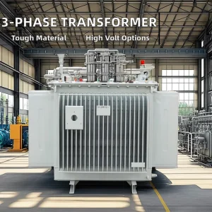 IEEE Standard 50kVA Oil Immersed Medium Voltage Transformer 6KV/220V for Rural Electrification Three Phase 11KV Output 480V