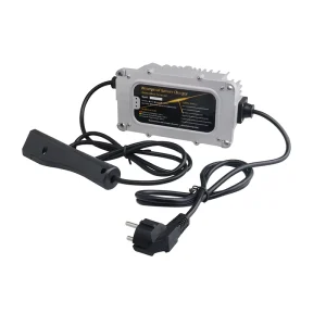 IP67 36V 6A Lithium Lead Acid LiFePO4 Battery Charger Industrial Electric OTP OVP OCP Protection Foldable Design