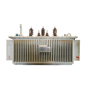 Industrial Controls MV Transformers for 50Hz 60Hz Distribution Equipment Three Phase Electric Power Transformer
