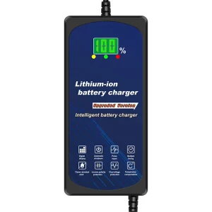 Intelligent 240W Fast Electric Vehicle Charger 60V3A Lithium Iron Phosphate Battery 73V Lithium-Ion 110V-240V Wide Voltage