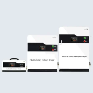 Intelligent 24v Lithium Lead Acid 6KW 200 Amp Battery Charger