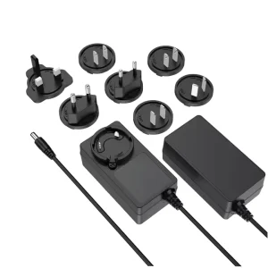 Interchangeable Plug AC DC Adapter 5V 3A 5A 12V 2A 2.5A 3A 4A 5A 24V 1A 1.5A 2A 2.5A Beauty System Power Adapter Power Supply