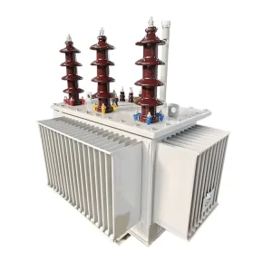 Medium & High Voltage Oil Type Transformers for Professional Factory Made Three Phase 50Hz 60Hz
