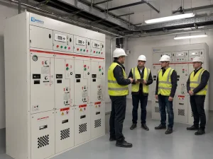 Medium Voltage Metal Gas Insulated Ring Main Unit RMU Cabinet with IP30 Rating for Industrial Power Distribution