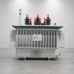 Moisture Proof 250Kva Good Economic Performance Low Noise Oil Immersed Transformer