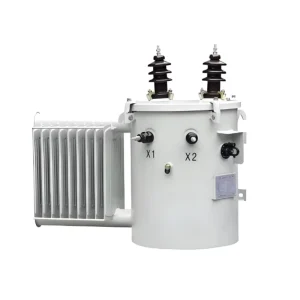 Mv&hv Transformers Factory Price 25kVA 250kVA High Voltage Electric Power Transformer D11 Single Phase Pole Mounted