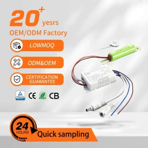 OEM Customized LED Power Supply IP30 LED Emergency Driver 20W Dark Energy Panel Light Driver