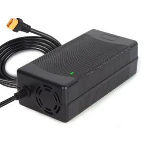 OEM Customized Smart Charger 16S 67.2V 2A Lithium Battery Charger for 60V LiFePO4 Battery Electric Vehicle Scooter 24V 48V 12V