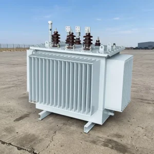 Oil-Immersed Outdoor Distribution Control Transformers 80kVA 150kVA 160kVA