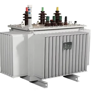 Oil Immersed Three Phase 10KV Distribution Transformer 100KVA 10KV 380V High Efficiency Small Footprint Copper Aluminum Coils