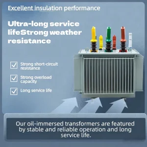 Oil Immersion Three Phase Toroidal Coil Power Transformer 100kVA 10kV with Temperature Control System Silicon Steel Core 50 60Hz