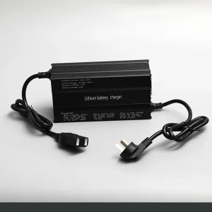 Portable Aluminum 10A LiFePO4 Battery Charger 60V 67.2V Output 16S CE Certified for Electric Boat