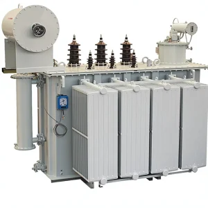 S11 M Outdoor Power Transformer Oil Immersed Medium and High Voltage 10kVA up to 31500kVA 50hz All Copper Winding