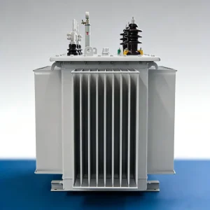 S11 Oil Immersed Three Phase Transformer ONAN 50 60Hz 10 35kV Input 380V 415V Output 3 Coil Oval Zhejiang Customizable