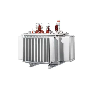 S11/S13 Oil-immersed Three-phase Power Transformer All Copper High Voltage 380V Input 315/400/630/1250kva China