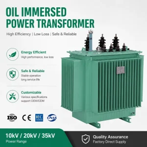 S11 S9 Low Loss 10kV 20kV 35kV 3 Phase Oil Immersed Power Distribution Transformer 30kVA 3150kVA IEC60076 Copper 50Hz