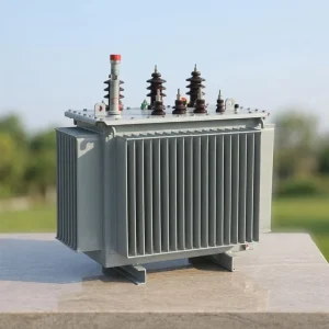 S11 Series 100kVA 200kVA 630kVA 1000kVA 20KV 22KV Three Phase 480V Low Loss Energy Saving Fully Sealed Oil Immersed Power Transformers