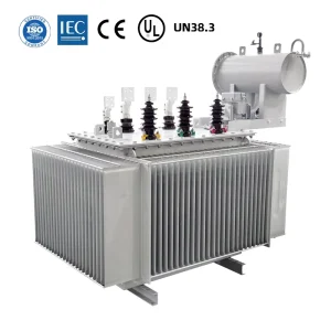 SZ11 Customized Three Phase Cable Transformer 415V 400V 110V 380V 50/60Hz Oil Immersed 3 Coils 6kv 10kv 220v 11kv 35kv