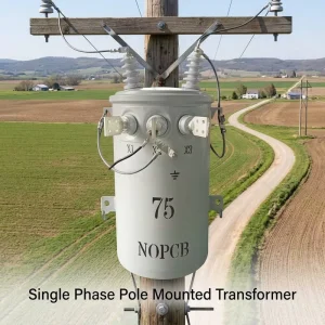Single Phase Oil Immersed Transformer 75 KVA with Toroidal Pure Copper Internal Core and Robust Corrosion Resistant Tank