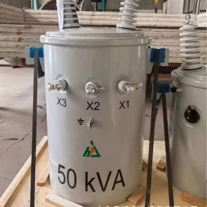 Single Phase Pole Mounted Oil Immersed Transformer 30kVA-333kVA Step Distribution Power Transformer 50/60Hz