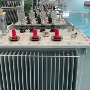 Single or Three Phase MV&HV Power Transformer Input Voltage Range 10kv Output Voltage 0.4kv Frequency 50Hz-60Hz