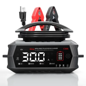 Smart 30A Car and Motorcycle Battery Charger 6V 12V 24V Electric Lithium LiFePO4 Lead Acid AGM Battery Smart Charger