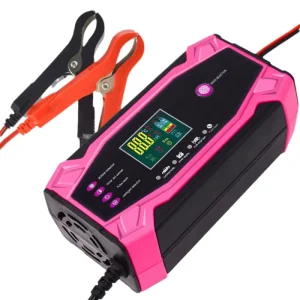 Smart Pulse Charger for Car and Scooter 12V 24V 10A Multi Function Integrated with CE FCC ROHS Certifications