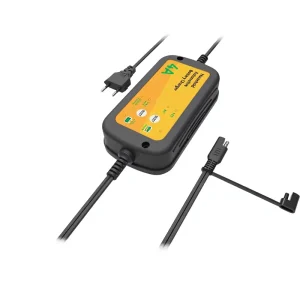 Switchable 6v 12v 4a Car Battery Charger Optional 4a Lead Acid Lithium Battery Charger