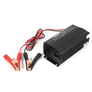 Tengshun 4S 12V 14.6V 20A CE FCC KC PSE SAA Certified LiFePO4 Electric Battery Charger Inverter AC 110V 220V Aluminum Fan