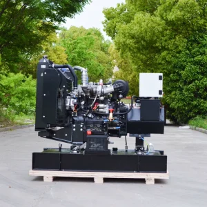 With Parkins Cumins Diesel Generator Manufacture 10kw 20kw 40kw 80kw 100kw 120kw 160kw 200kw Open Silent Diesel Generator