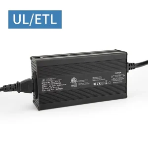 XT30 48V 60Ah LiFePO4 Lithium Battery Charger for Electric Bike Scooter with Global Certification