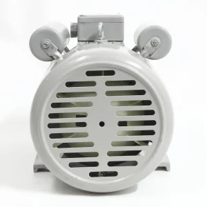YC80C 4 Series Single Phase Capacitor Start Heavy Duty Motor Totally Enclosed 100% Copper Wire Durable for Pumps and Fans