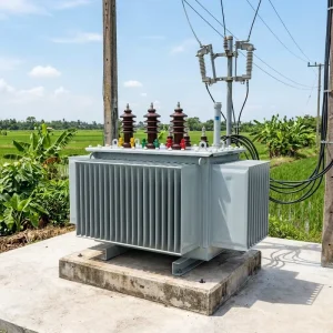 electrical equipment S13/S15 Full Sealed Oil Immersed Distribution Transformer IEC ANSI Certified Rural Grid Upgrade Solar PV Step-up 380V